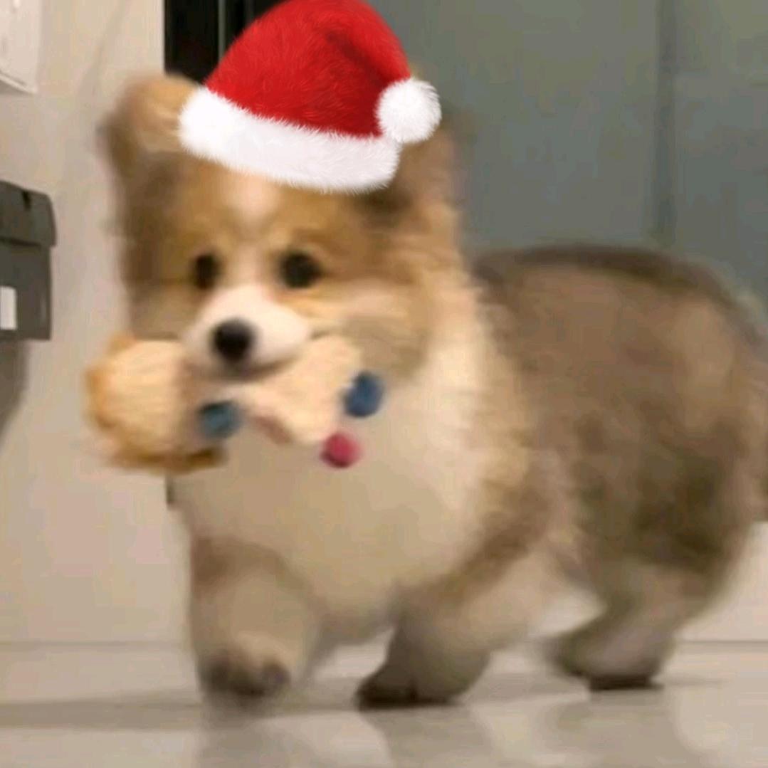 八分饱