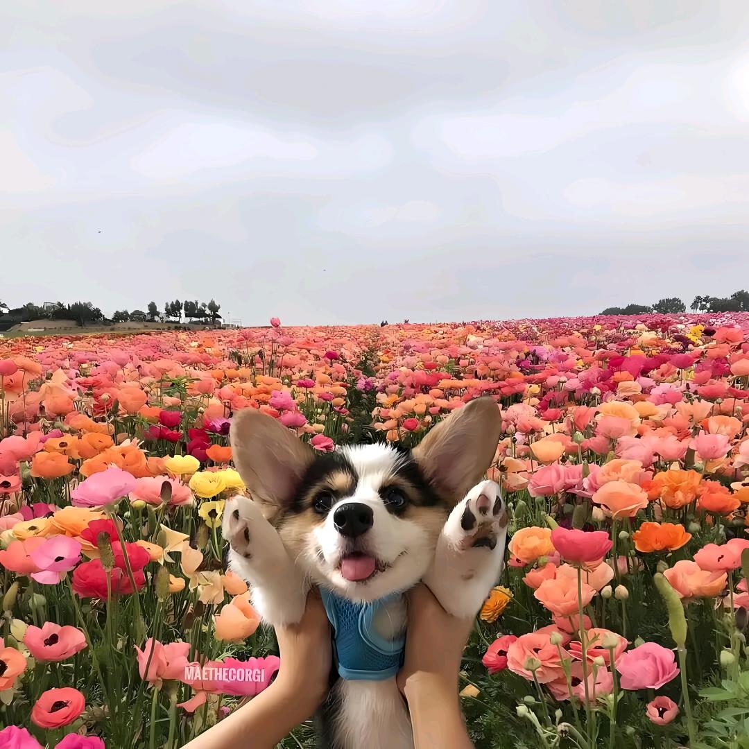 百博百货