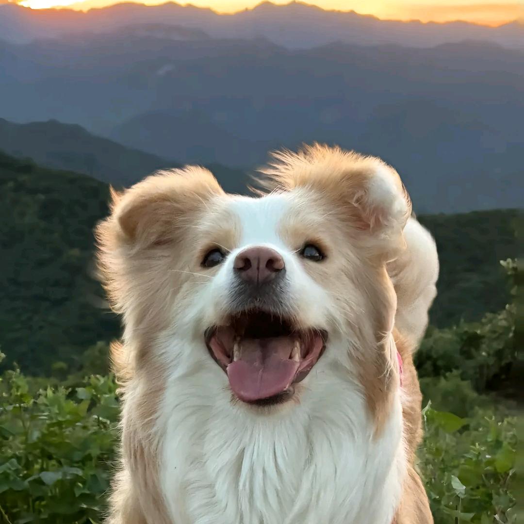 王小💗