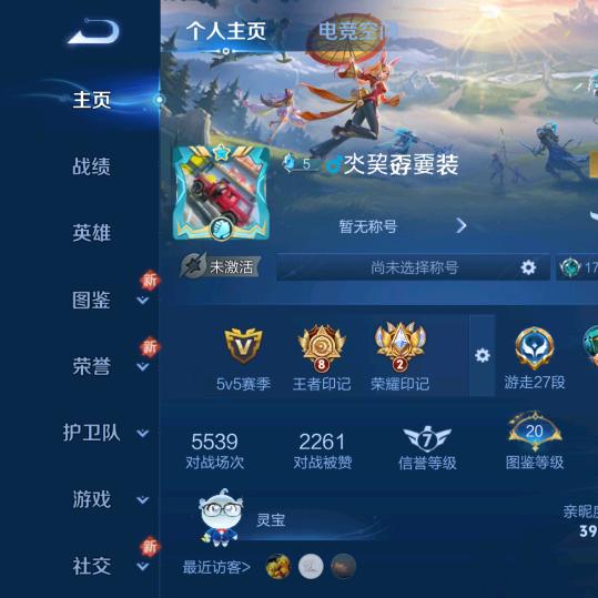 大叔只打辅助