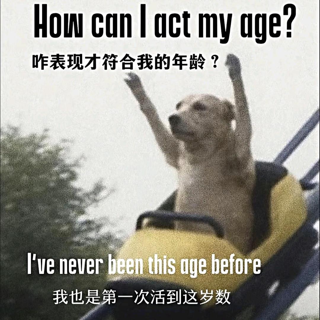 去码头整点儿薯条🍟