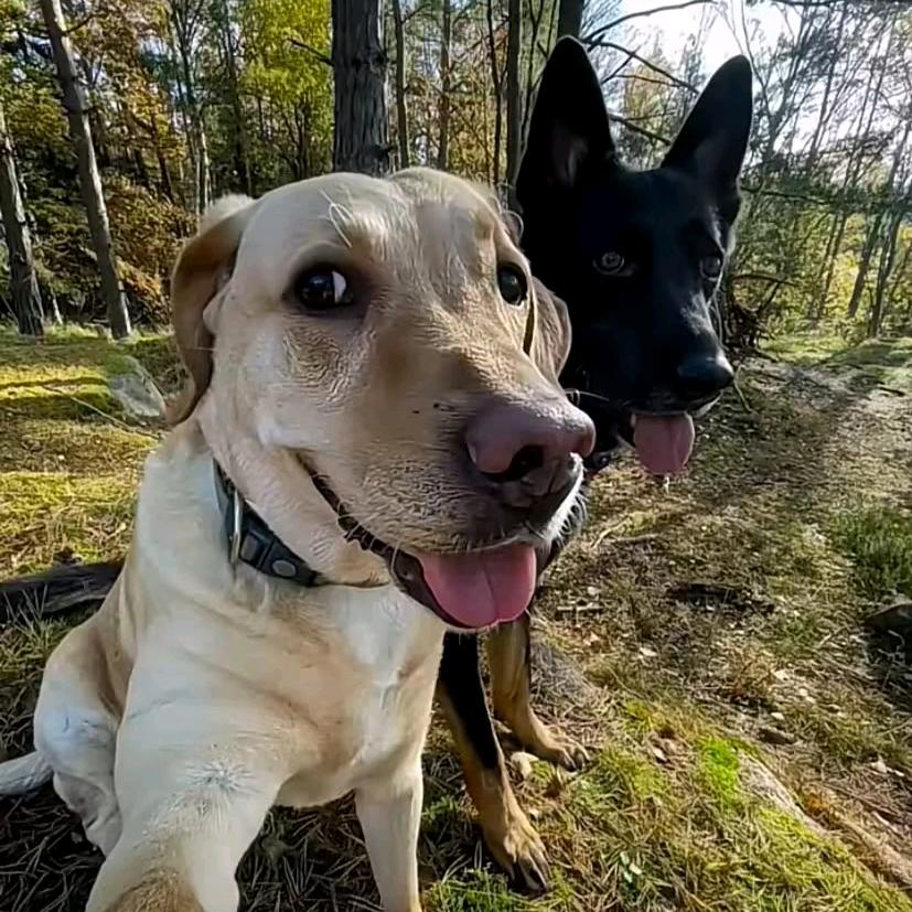 爱也只是嘴上说