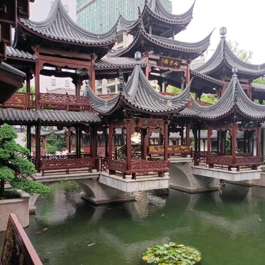 河南。光头哥。