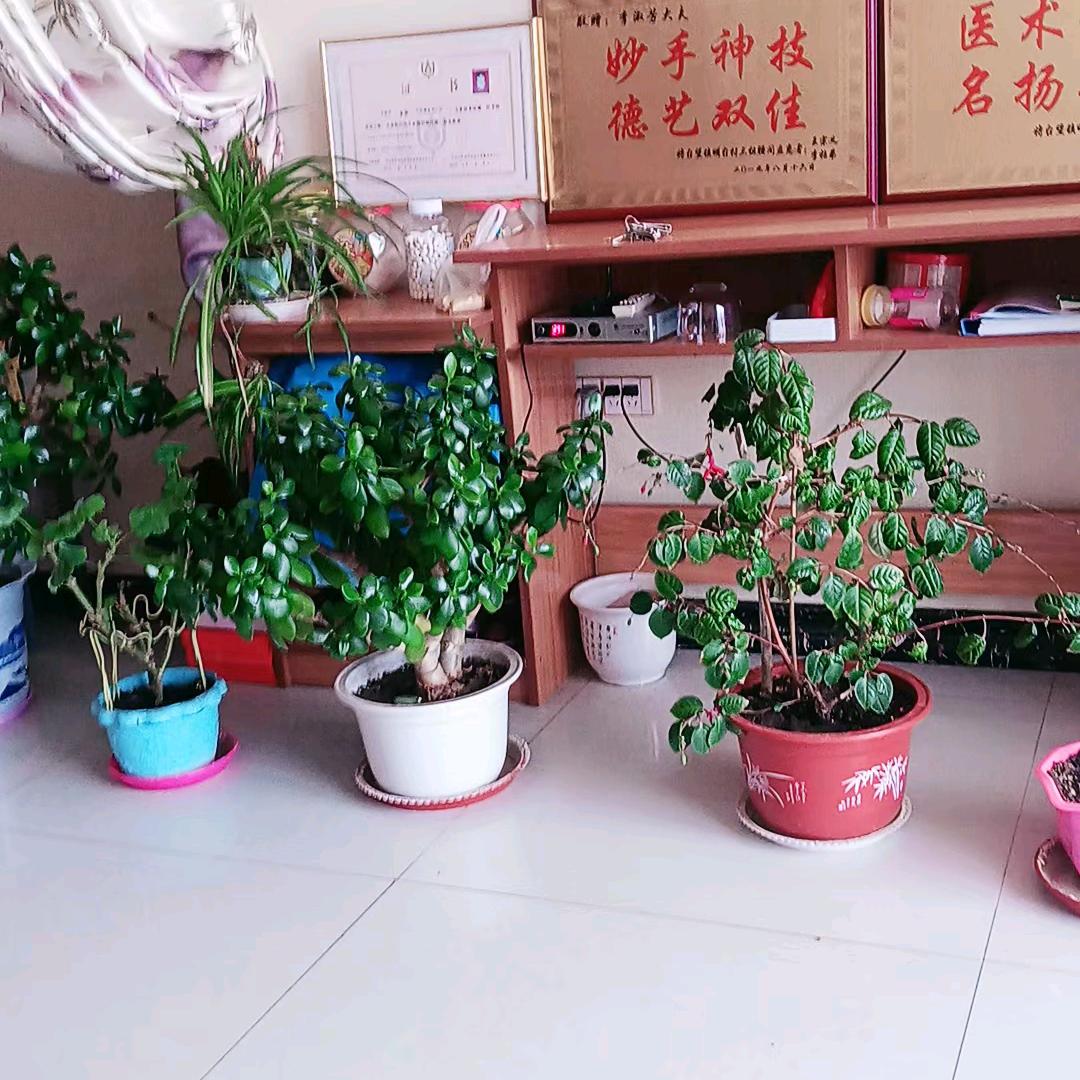 福元堂疗养中心