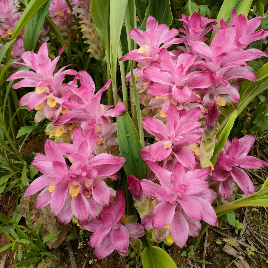 八方来财