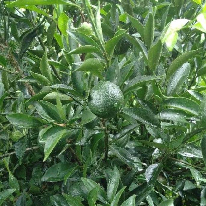 要做个曾经的我