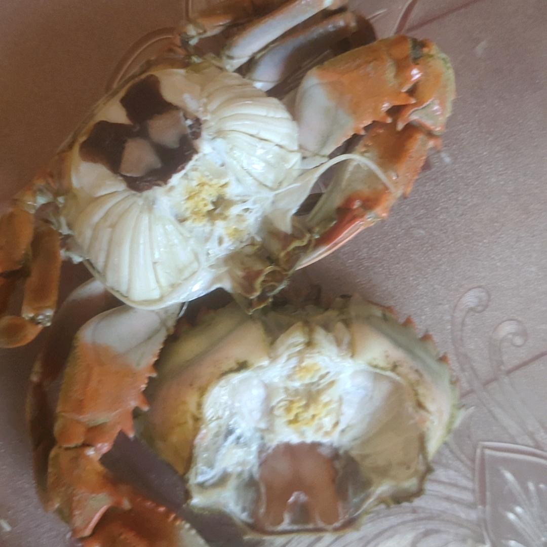 追随潮汐