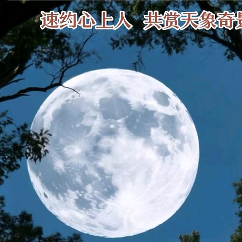 晚舟