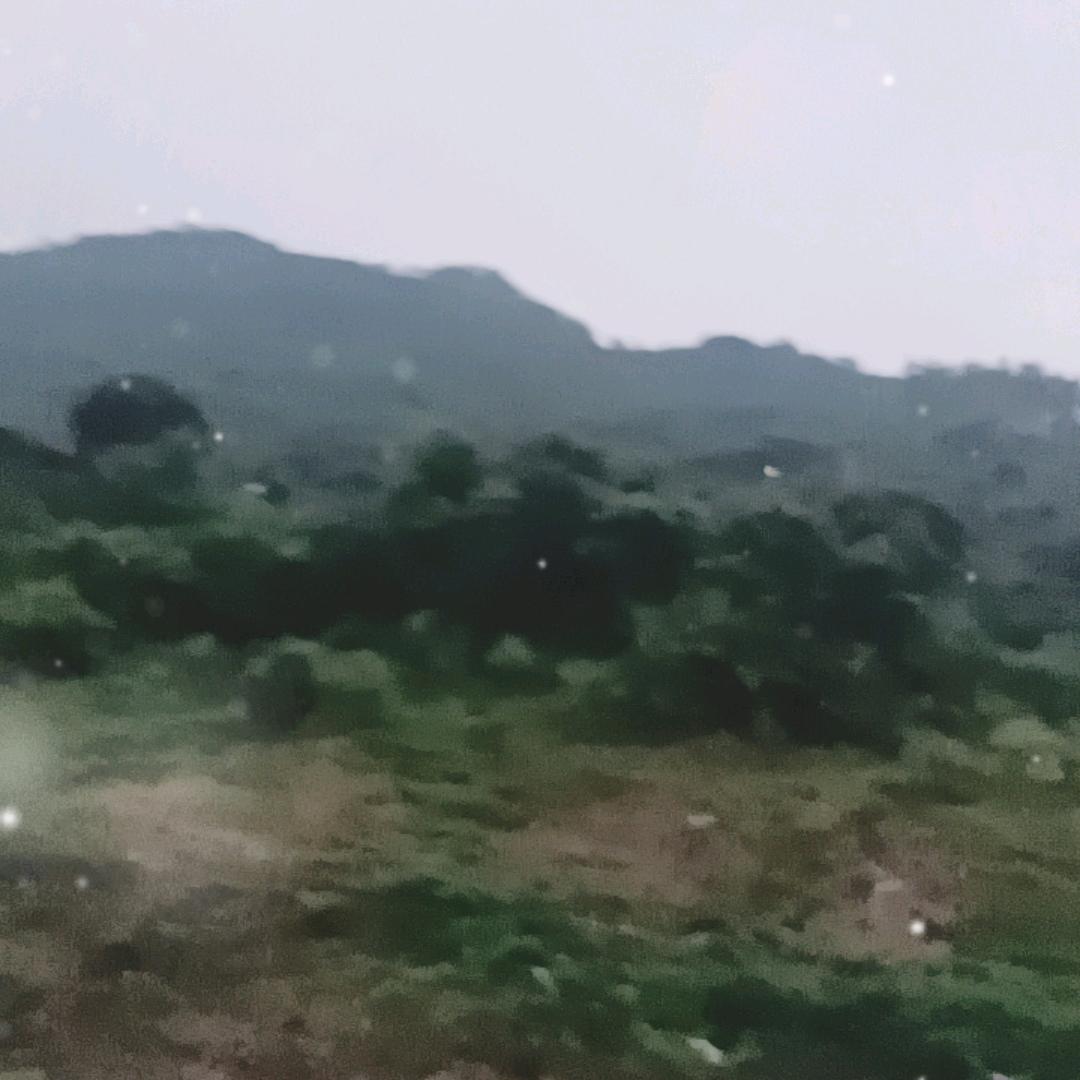 孤单。快乐