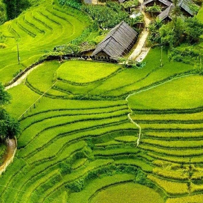 谷植康农业技术服务中心