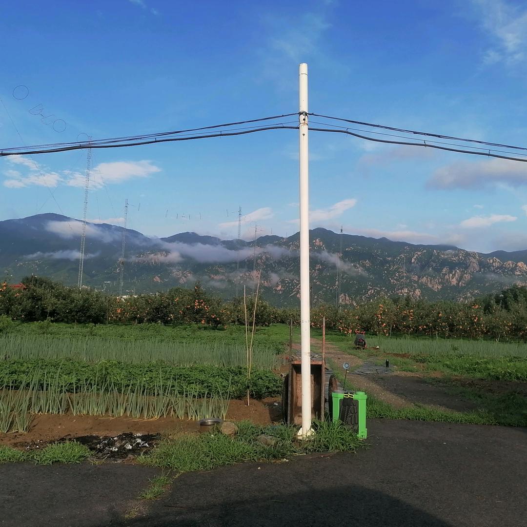 宝马哥