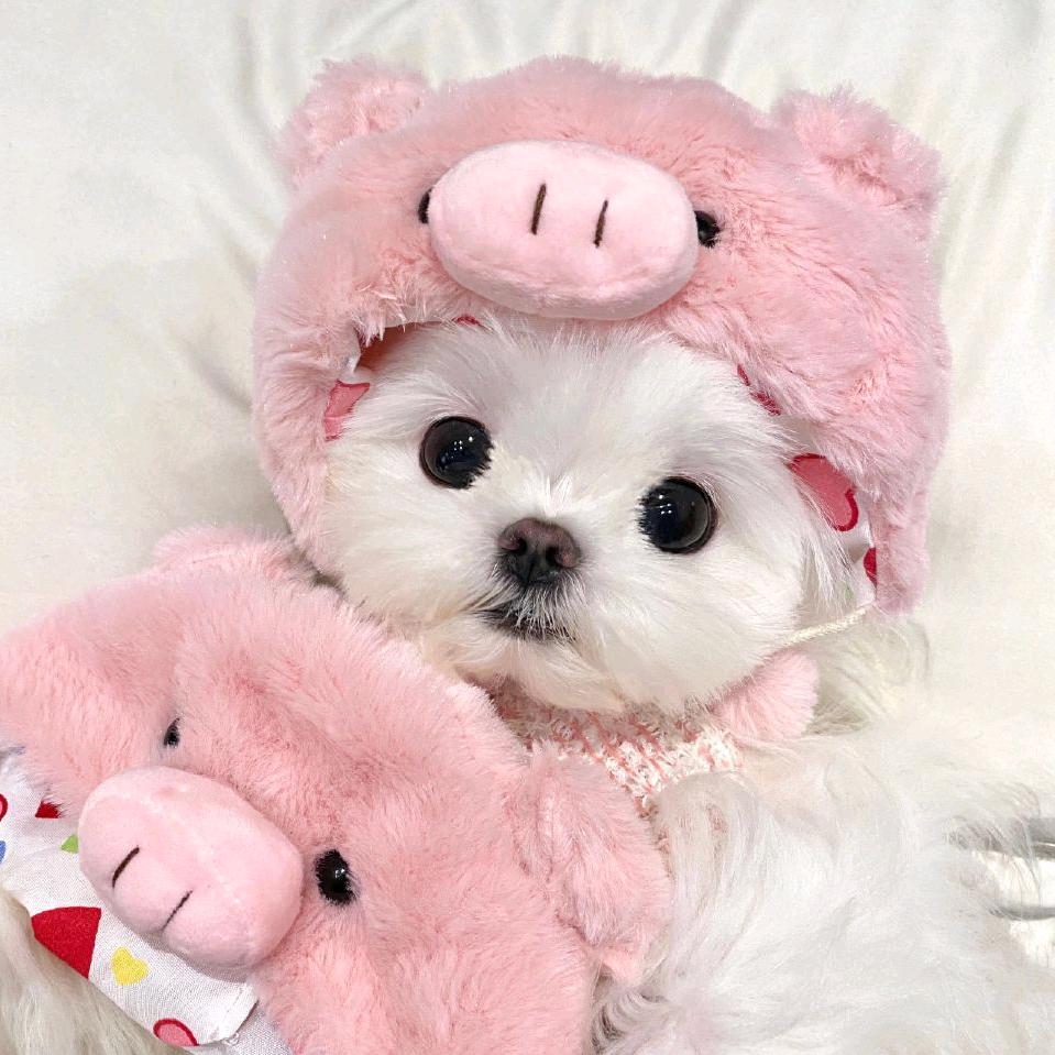 丬仙女の許愿池