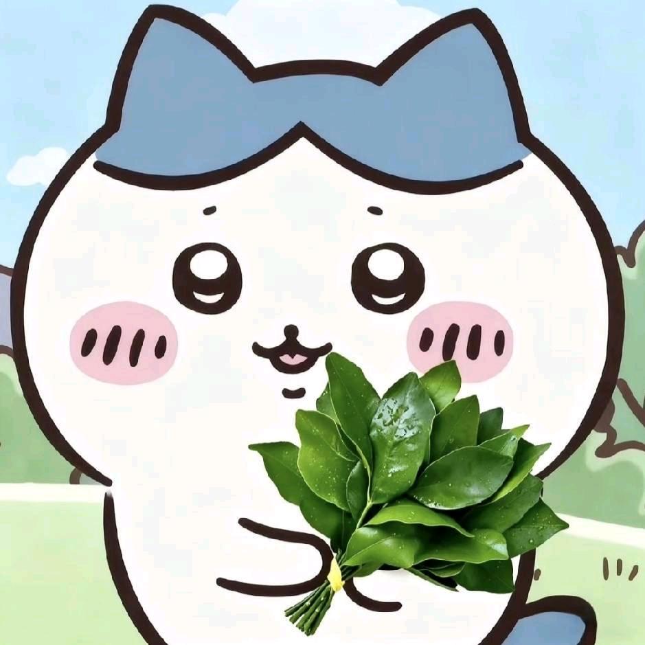 思绪回到那年冬