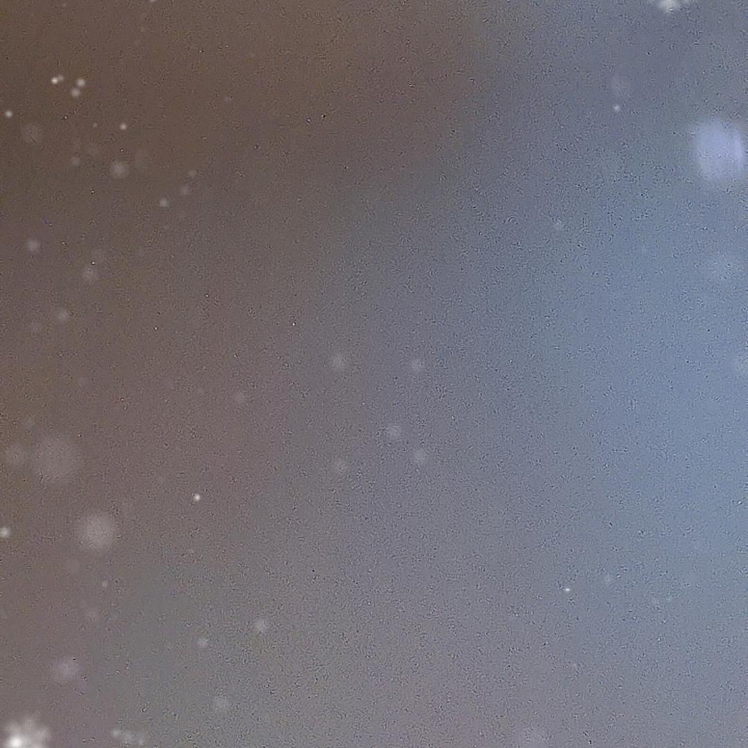心动不如行动