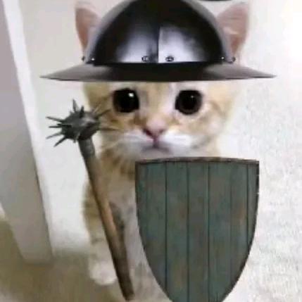 我又不乱来