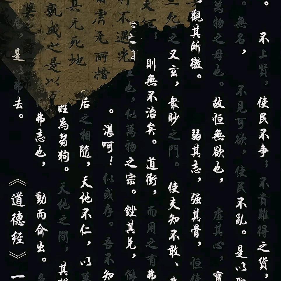 《无芯》