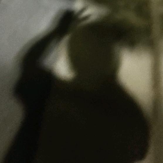 晓风掠过光阴