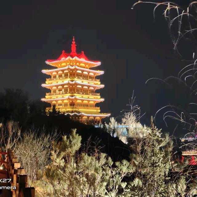 弃一支玫瑰  得满山野花