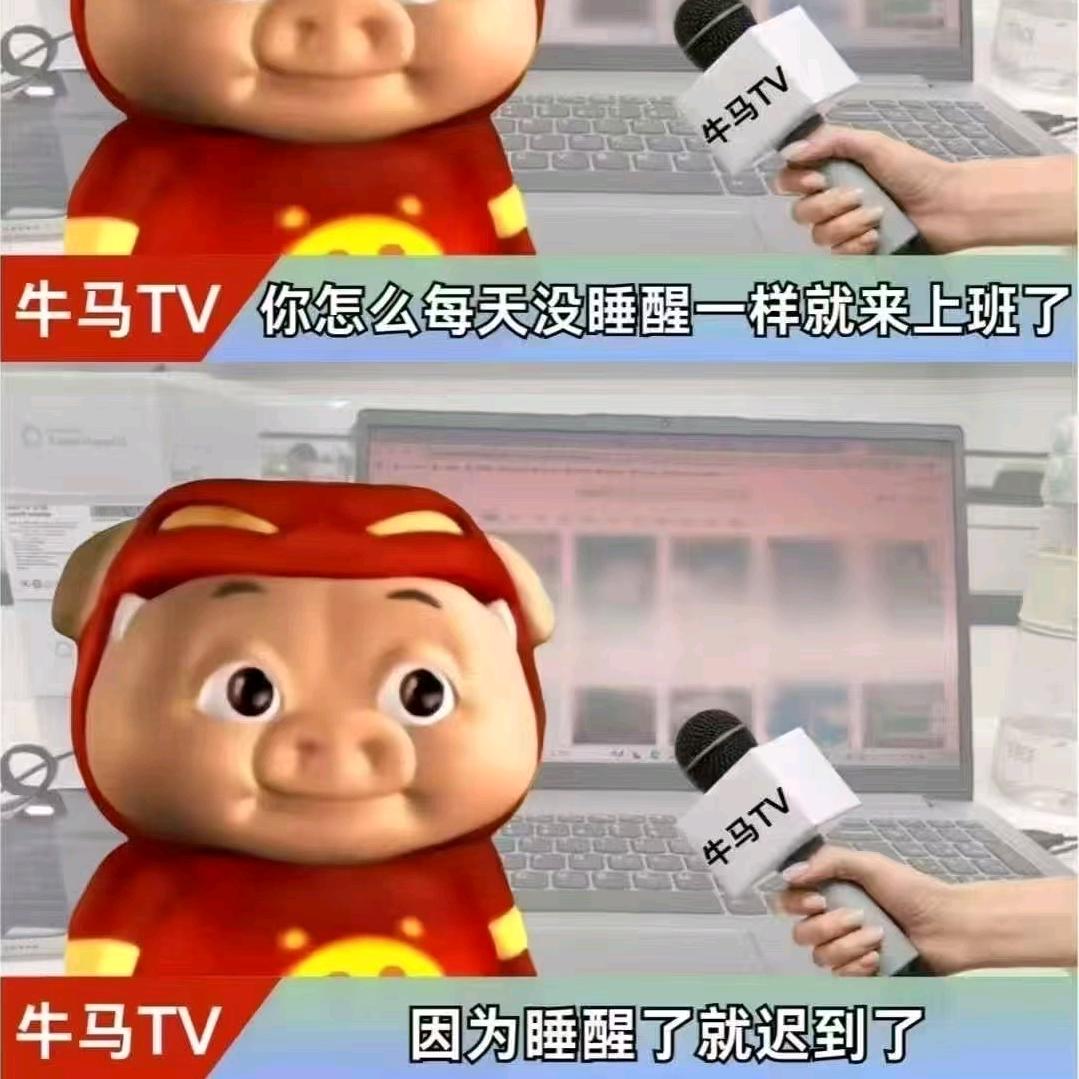 一个普通的小罗