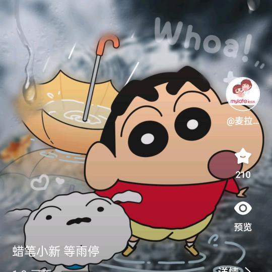 小龙🐉