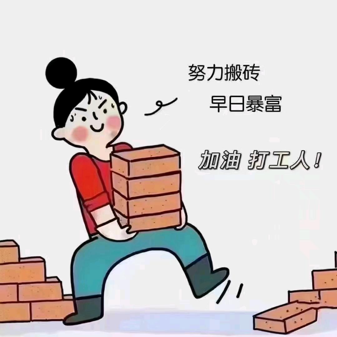 大熊🐻不是🐻