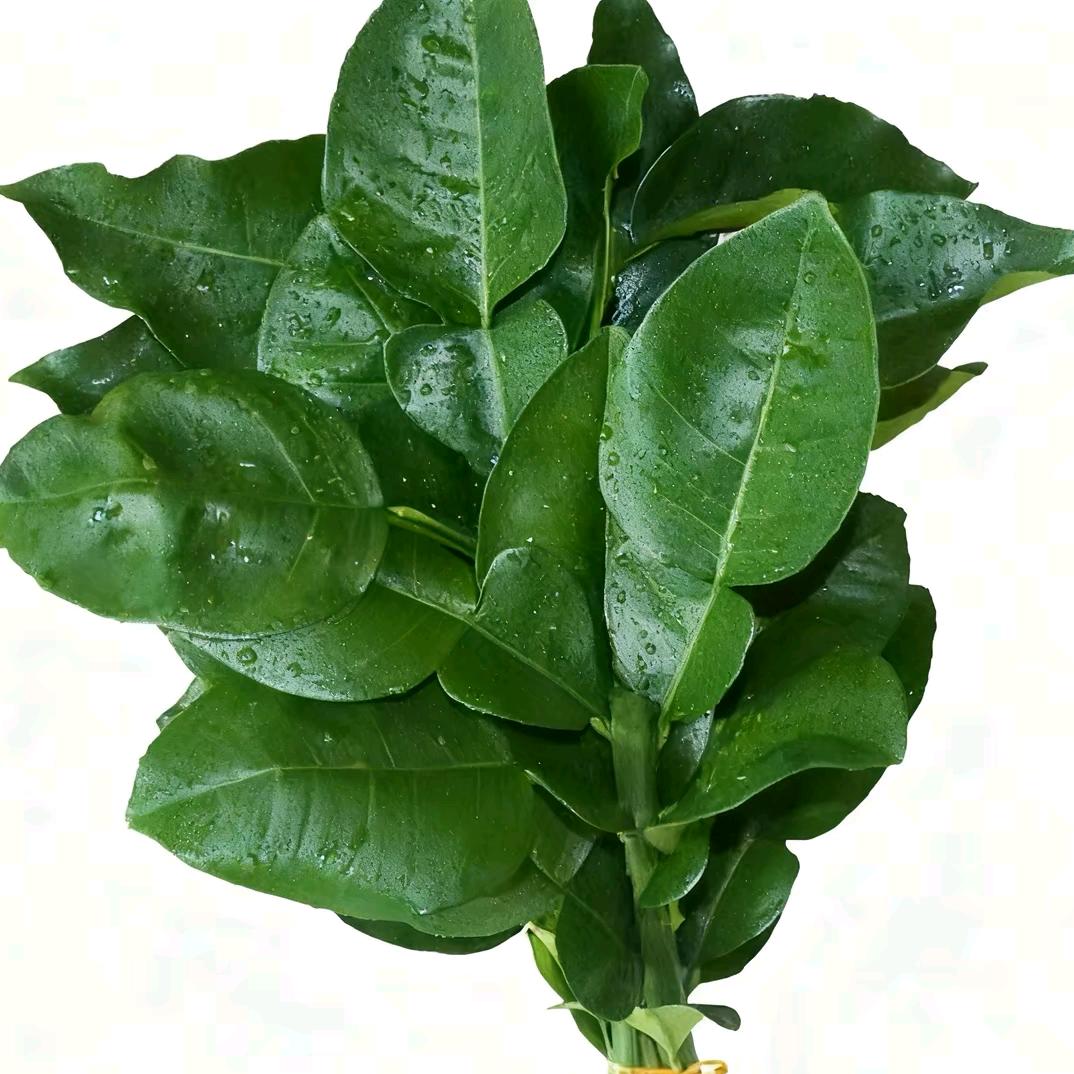 冰雹米黄油条🧈