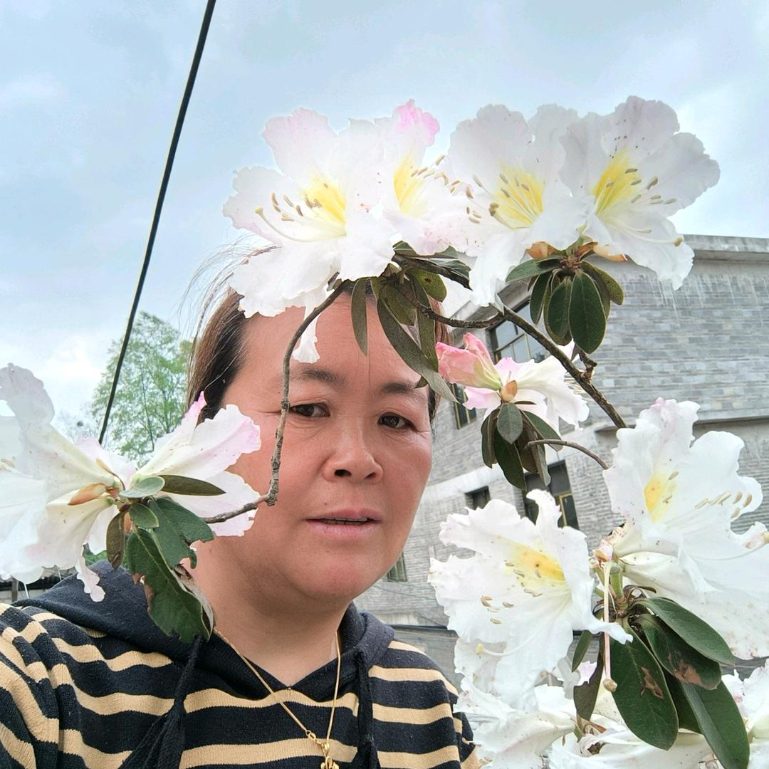 兰姐