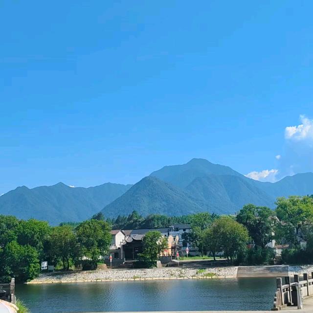 爱芹鬼丫头