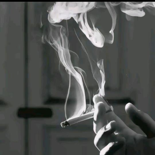 ᭨ᮩ໊࿐一介俗客ઈོ࿐