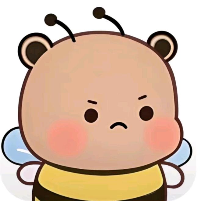 dongdong.