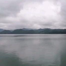 育鲲