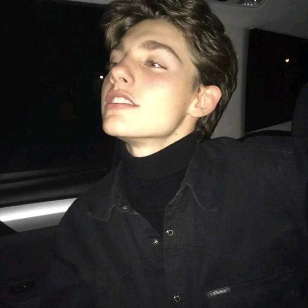 Coisini