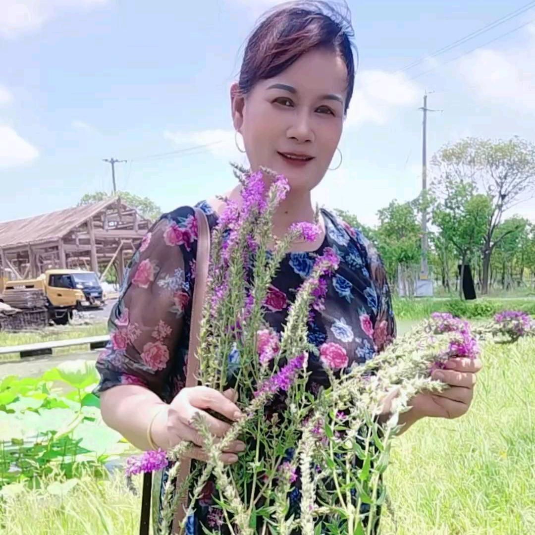 雨后彩虹