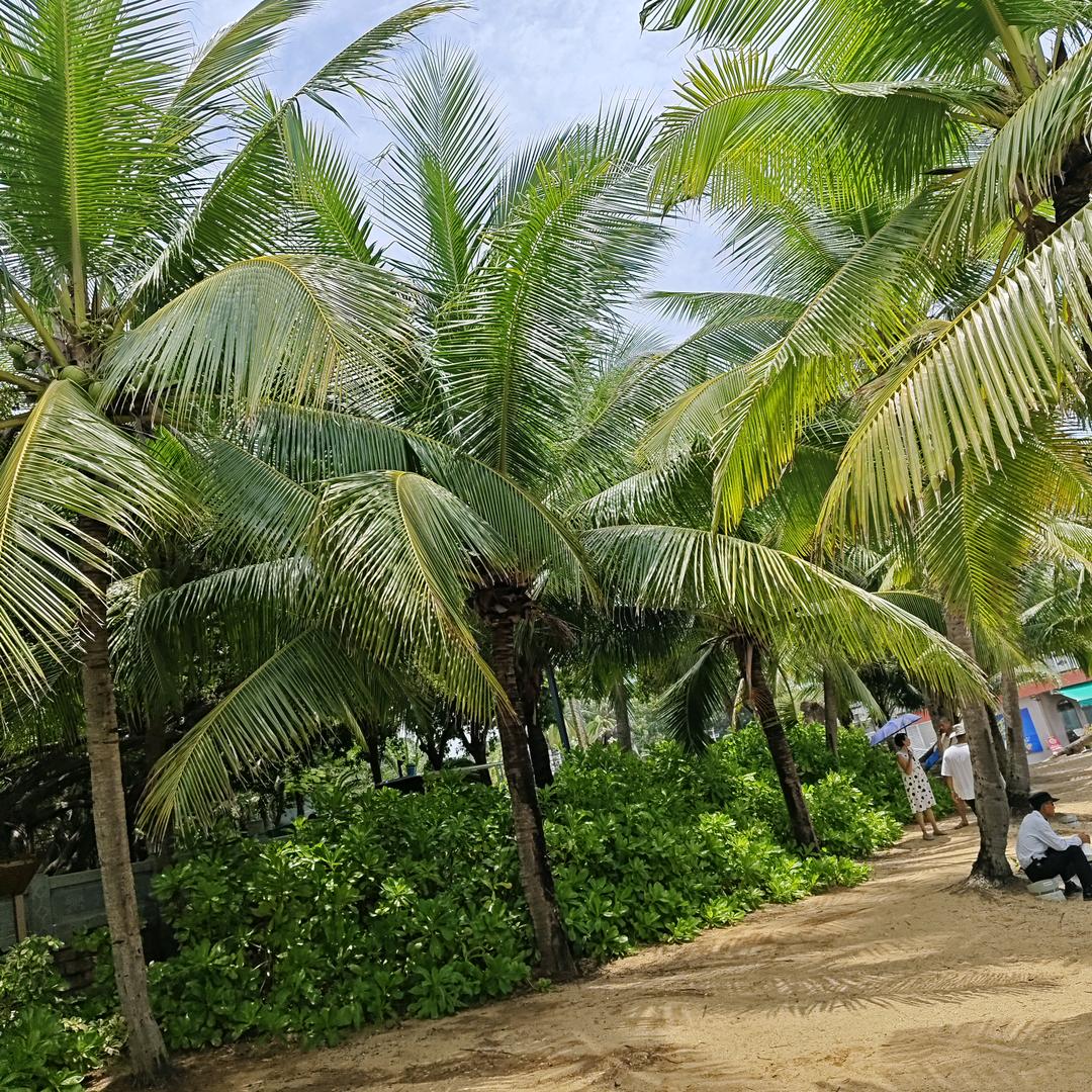 🌺🌸💐春夏秋冬