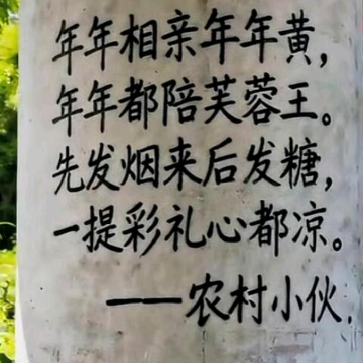 万花丛中过，片叶不沾身。