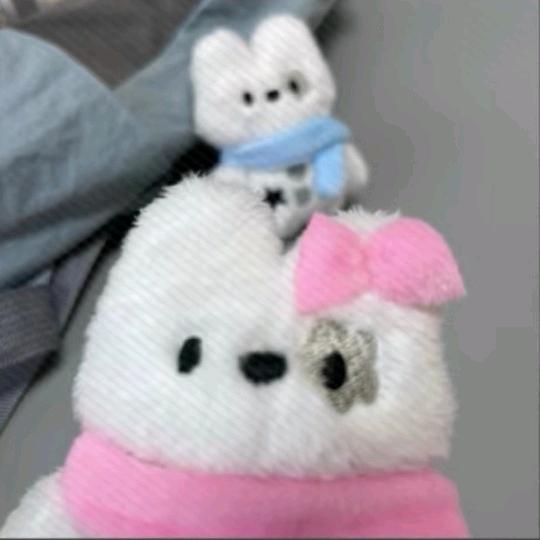 万事不敌我开森