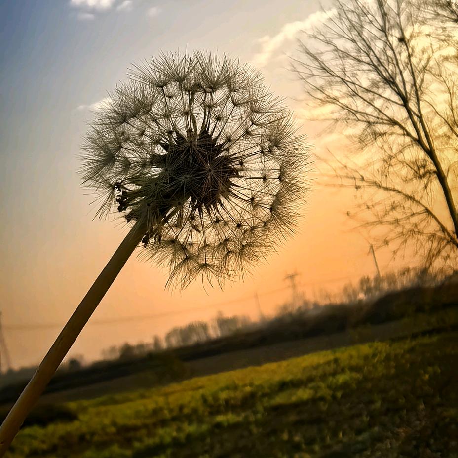 👉☁️☁️☁️ ☁️👈
