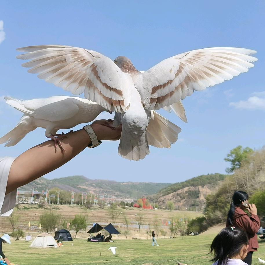 A༃💓爱如含笑胖墩墩💗༃྅