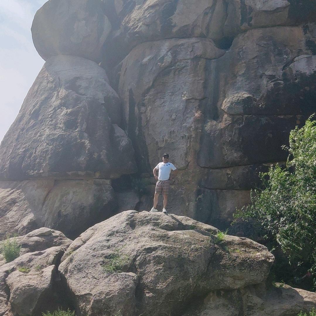 朝阳市特产甄选