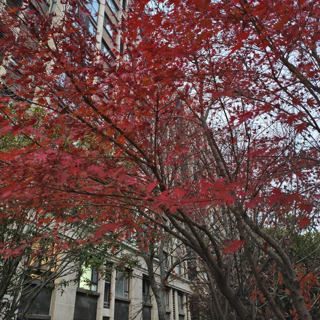 舍，得