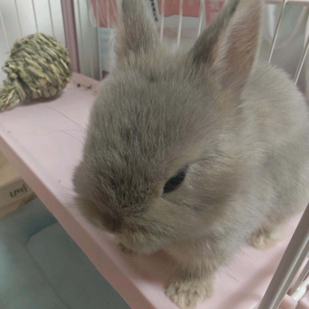 当当