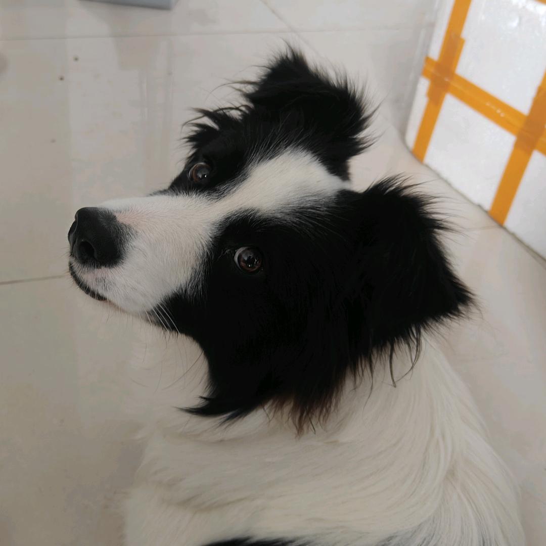 小骆吖             🪳