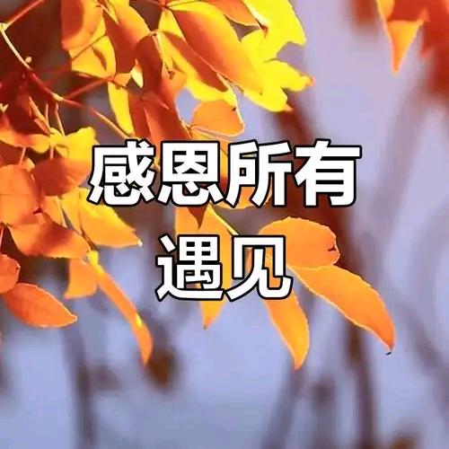 特仑苏