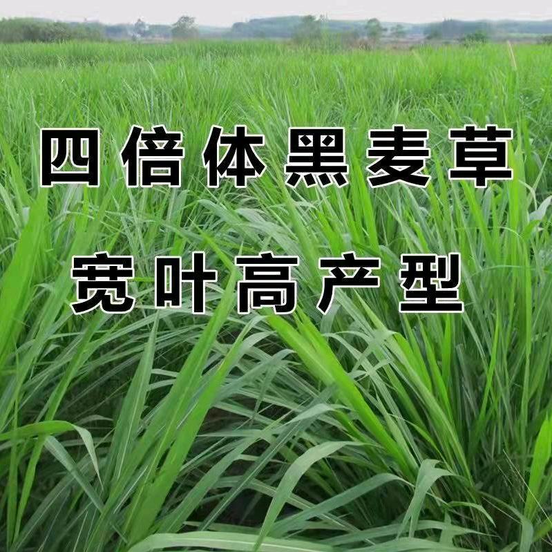兴盛园林
