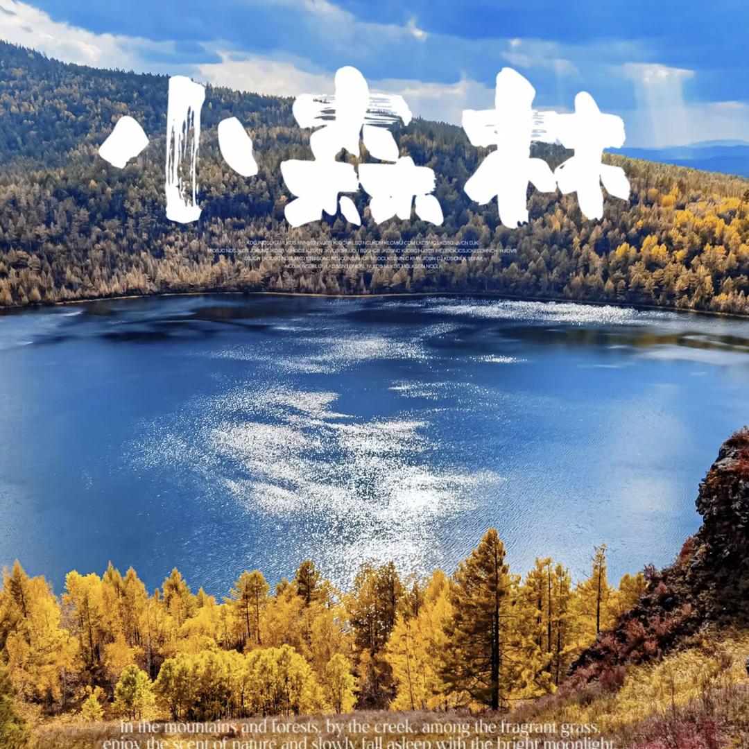 爱发呆的鱼