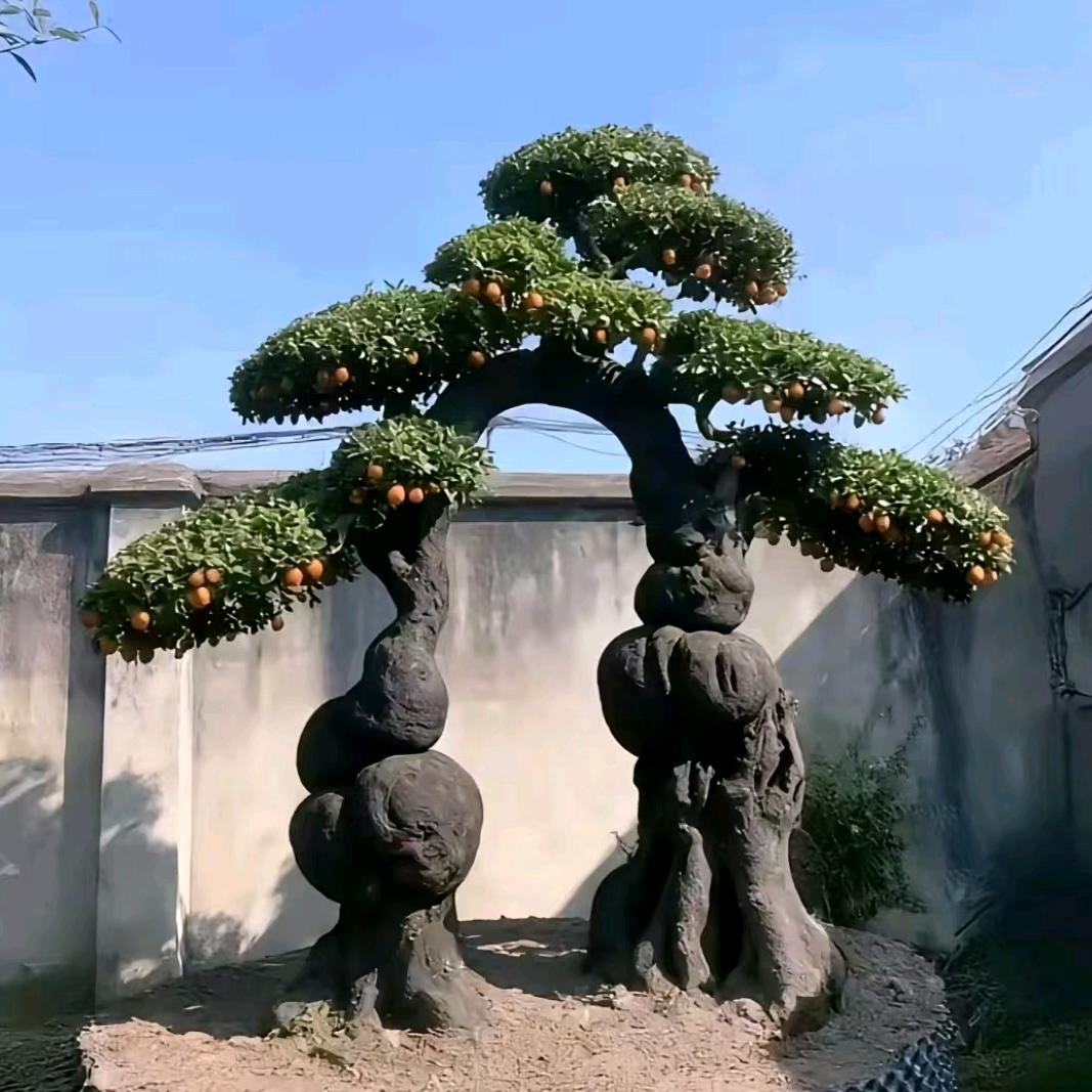 寒江孤影