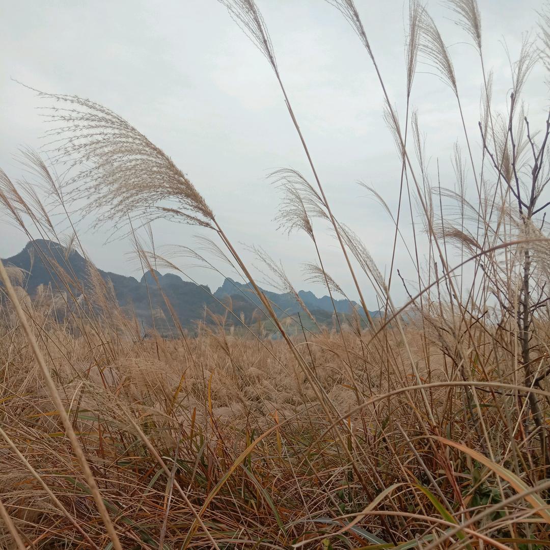 山沟沟