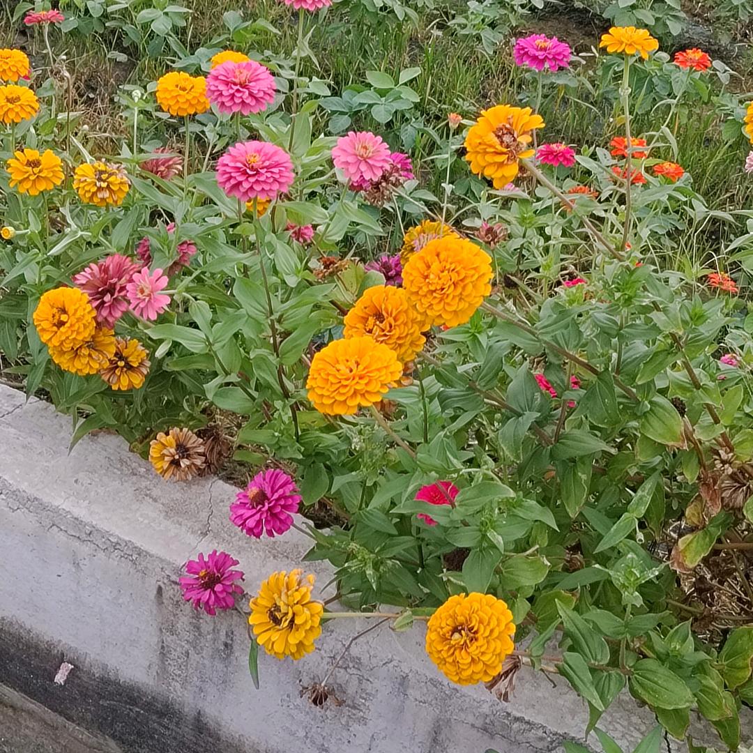 心若能自控爱人有何用