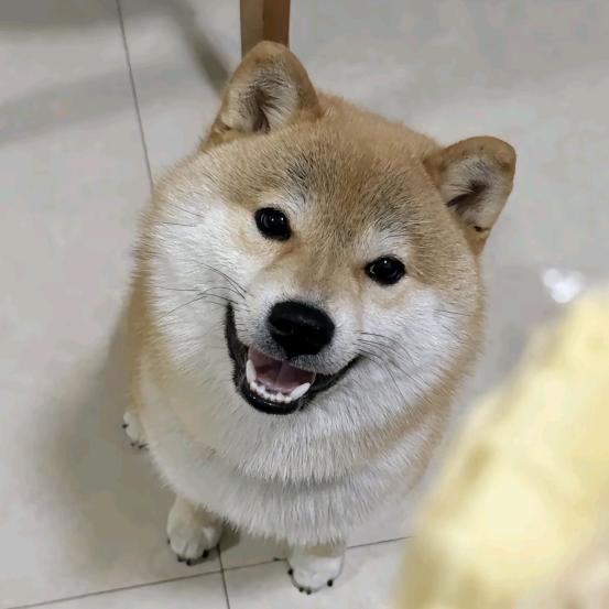 多加醋！