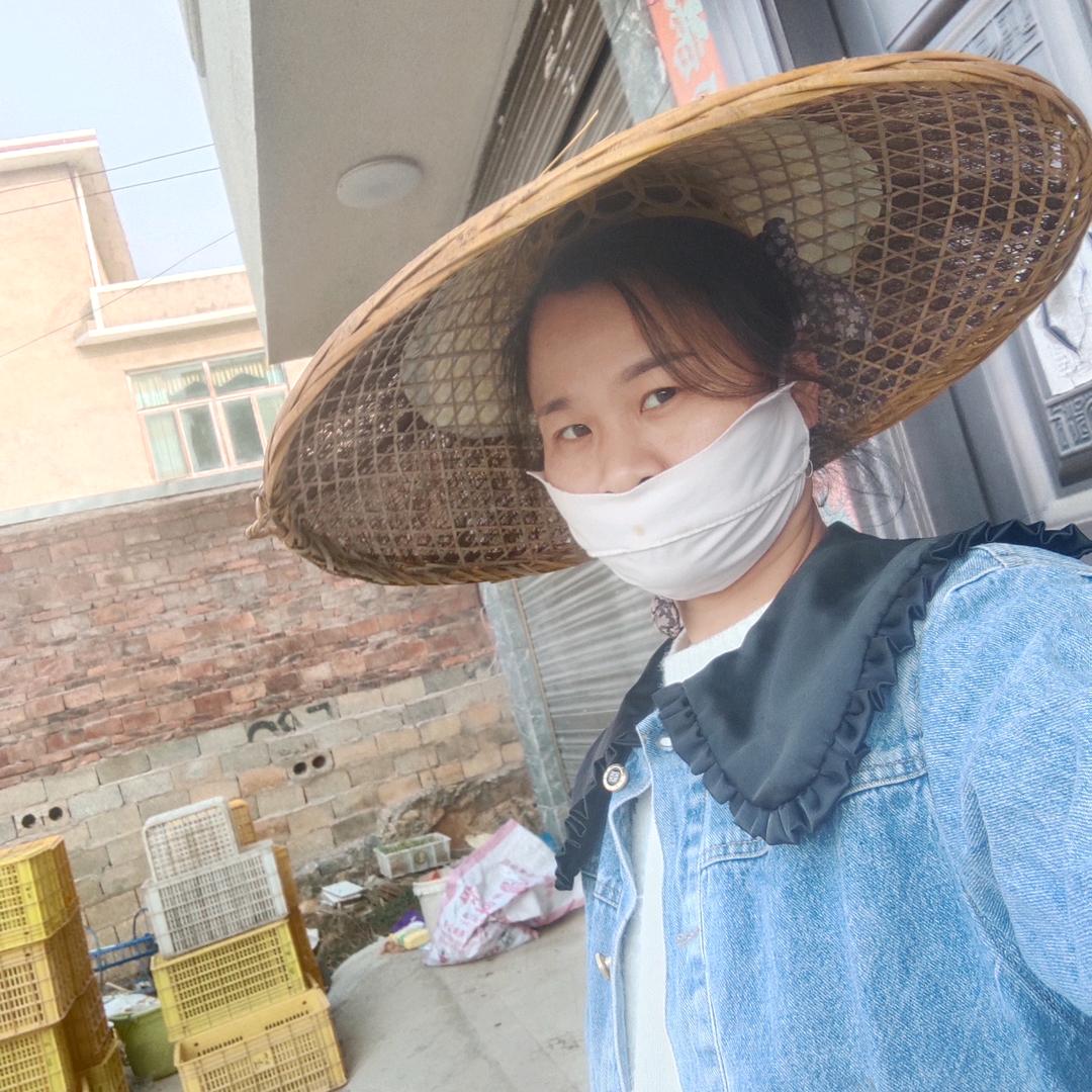 小杨快剪（五元理发）